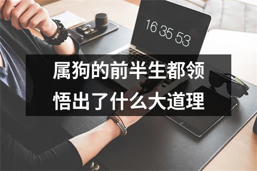 属狗的前半生都领悟出了什么大道理