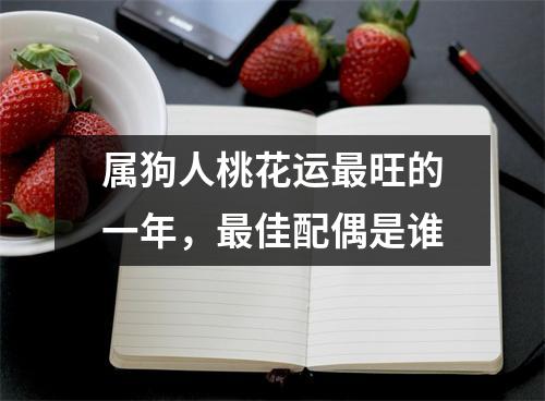 属狗人桃花运旺的一年，佳配偶是谁