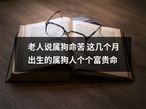 老人说属狗命苦 这几个月出生的属狗人个个富贵命