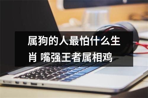 <h3>属狗的人怕什么生肖嘴强王者属相鸡