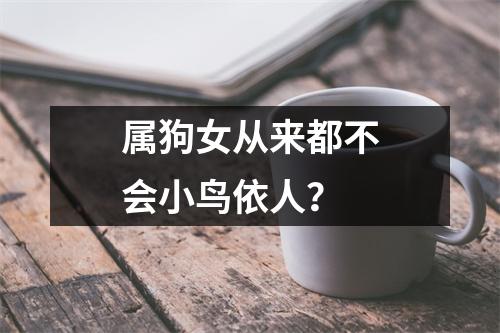 <h3>属狗女从来都不会小鸟依人？