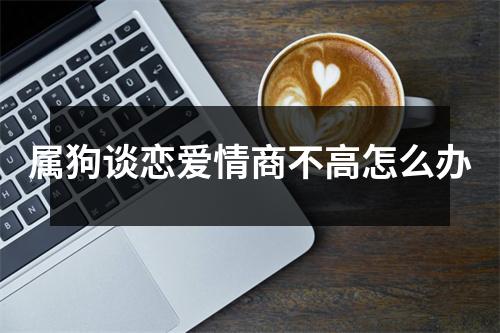 属狗谈恋爱情商不高怎么办