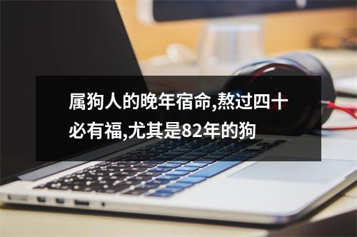 属狗人的晚年宿命,熬过四十必有福,尤其是82年的狗