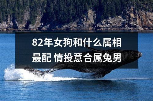 <h3>82年女狗和什么属相配情投意合属兔男