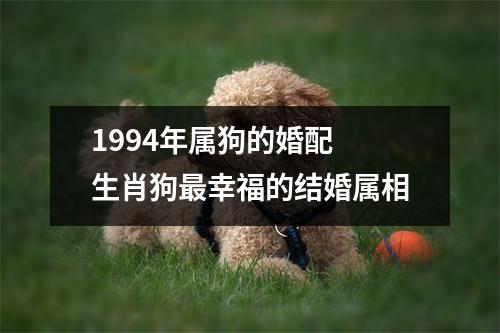 <h3>1994年属狗的婚配生肖狗幸福的结婚属相