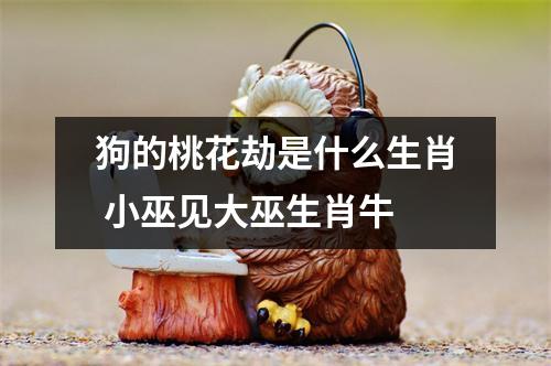 狗的桃花劫是什么生肖小巫见大巫生肖牛