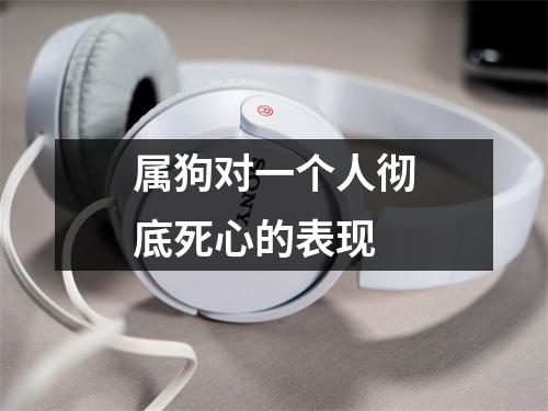 <h3>属狗对一个人彻底死心的表现