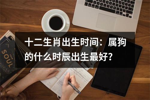 <h3>十二生肖出生时间：属狗的什么时辰出生好？