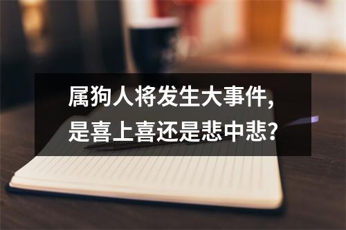 <h3>属狗人将发生大事件,是喜上喜还是悲中悲？