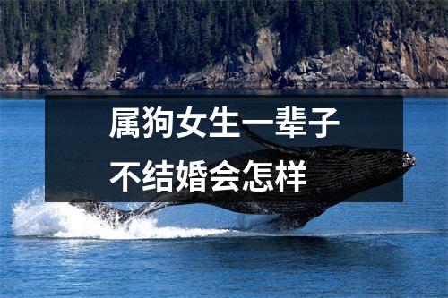 <h3>属狗女生一辈子不结婚会怎样