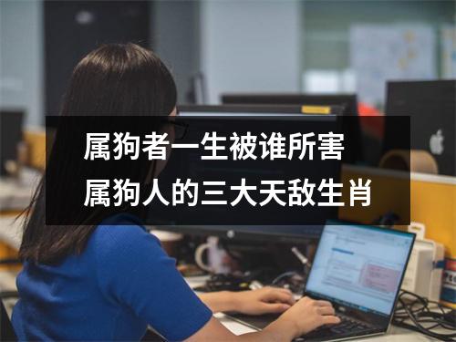 <h3>属狗者一生被谁所害属狗人的三大天敌生肖