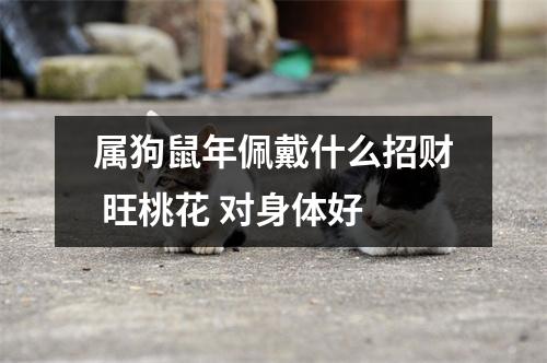 <h3>属狗鼠年佩戴什么招财旺桃花对身体好