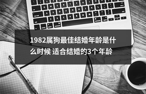 <h3>1982属狗佳结婚年龄是什么时候适合结婚的3个年龄