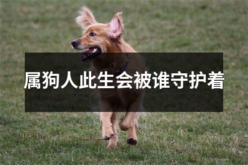 <h3>属狗人此生会被谁守护着