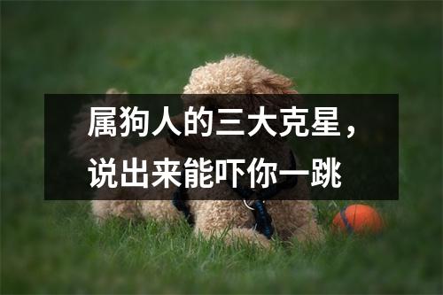 <h3>属狗人的三大克星，说出来能吓你一跳