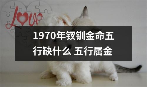 <h3>1970年钗钏金命五行缺什么五行属金