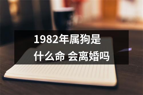 <h3>1982年属狗是什么命会离婚吗