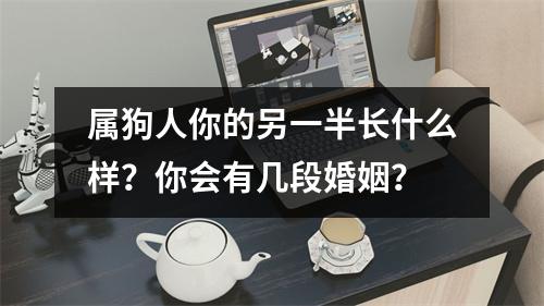<h3>属狗人你的另一半长什么样？你会有几段婚姻？
