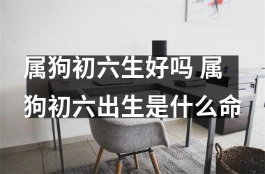 属狗初六生好吗 属狗初六出生是什么命