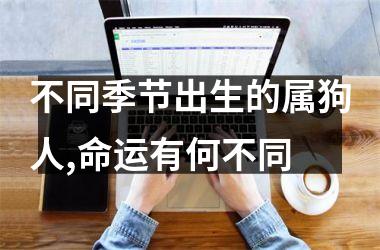 <h3>不同季节出生的属狗人,命运有何不同