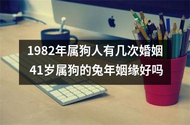 1982年属狗人有几次婚姻 41岁属狗的兔年姻缘好吗