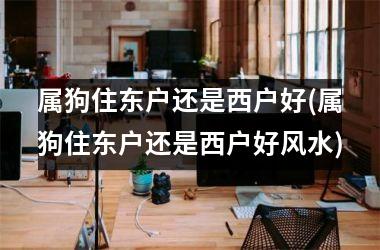 属狗住东户还是西户好(属狗住东户还是西户好风水)