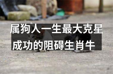 <h3>属狗人一生大克星 成功的阻碍生肖牛