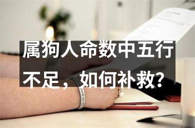 <h3>属狗人命数中五行不足，如何补救？
