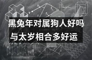 黑兔年对属狗人好吗 与太岁相合多好运
