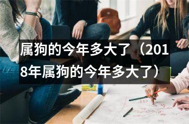 <h3>属狗的今年多大了（2018年属狗的今年多大了）