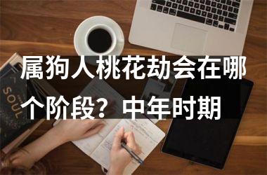 <h3>属狗人桃花劫会在哪个阶段？中年时期