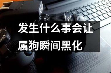 发生什么事会让属狗瞬间黑化
