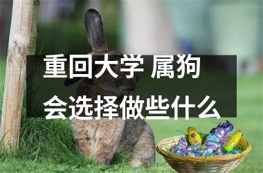 <h3>重回大学 属狗会选择做些什么