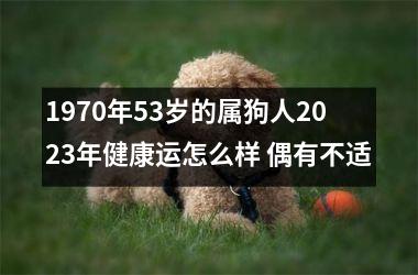 <h3>1970年53岁的属狗人2025年健康运怎么样 偶有不适