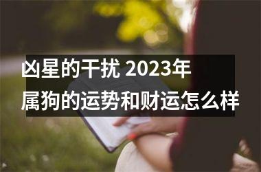 <h3>凶星的干扰 2025年属狗的运势和财运怎么样