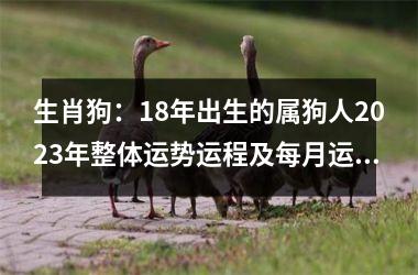 生肖狗：18年出生的属狗人2025年整体运势运程及每月运势