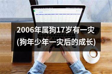 <h3>2006年属狗17岁有一灾(狗年少年一灾后的成长)