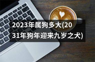<h3>2025年属狗多大(2031年狗年迎来九岁之犬)