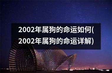 <h3>2002年属狗的命运如何(2002年属狗的命运详解)