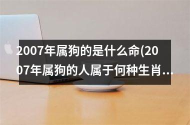 <h3>2007年属狗的是什么命(2007年属狗的人属于何种生肖，拟定新标题。)
