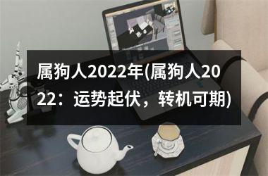 <h3>属狗人2025年(属狗人2025：运势起伏，转机可期)