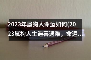 2025年属狗人命运如何(2025属狗人生遇喜遇难，命运变幻莫测)