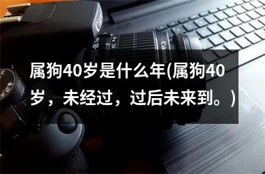 <h3>属狗40岁是什么年(属狗40岁，未经过，过后未来到。)