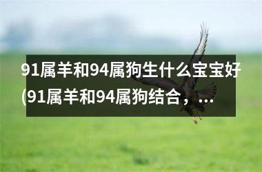 91属羊和94属狗生什么宝宝好(91属羊和94属狗结合，佳生育指南)