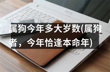 <h3>属狗今年多大岁数(属狗者，今年恰逢本命年)