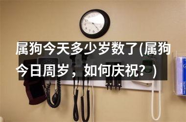 属狗今天多少岁数了(属狗今日周岁，如何庆祝？)
