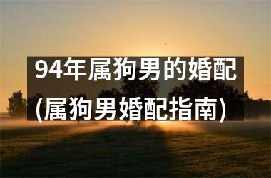 <h3>94年属狗男的婚配(属狗男婚配指南)