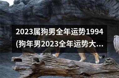 <h3>2025属狗男全年运势1994(狗年男2025全年运势大揭秘！)