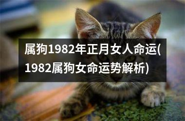 <h3>属狗1982年正月女人命运(1982属狗女命运势解析)