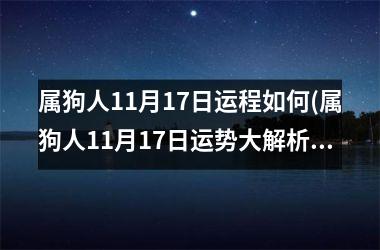 <h3>属狗人11月17日运程如何(属狗人11月17日运势大解析)